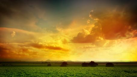Golden Sunset Over a Tranquil Field wallpaper
