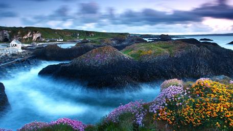 Serene Coastal Landscape with Vibrant Flowers and Gentle Waves wallpaper