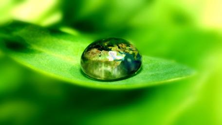 Nature's Reflection in a Waterdrop wallpaper