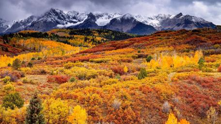 Autumn Majesty in Nature's Palette wallpaper