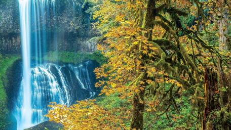 Stunning Autumn Waterfall Scene wallpaper