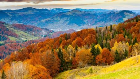 Vibrant Autumn Landscape in Majestic Mountains wallpaper