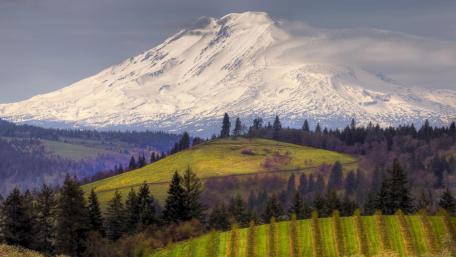 Mount Adams wallpaper