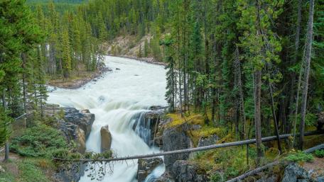 Sunwapta Falls wallpaper