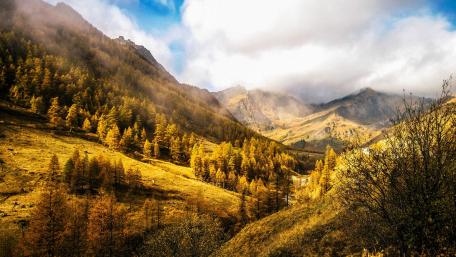 Piedmont wallpaper