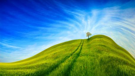 Lone Tree on a Green Hill Landscape wallpaper