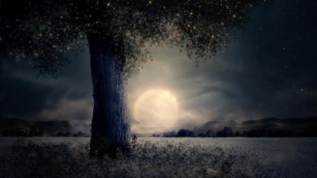 Enchanted Moonlit Nightscape wallpaper