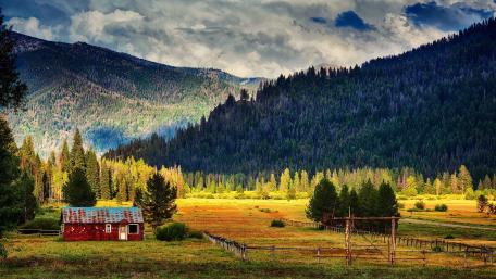 Rustic Charm in Nature's Embrace wallpaper