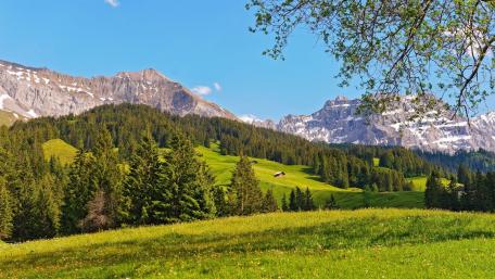Lush Spring Landscape with Majestic Mountains wallpaper