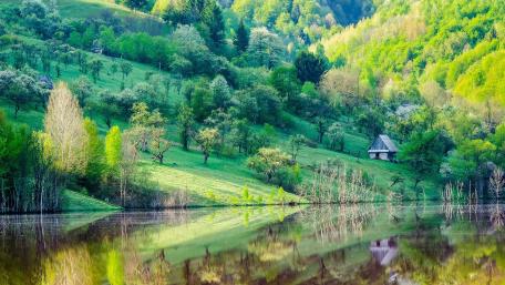 Serene Spring Reflections in Nature's Embrace wallpaper