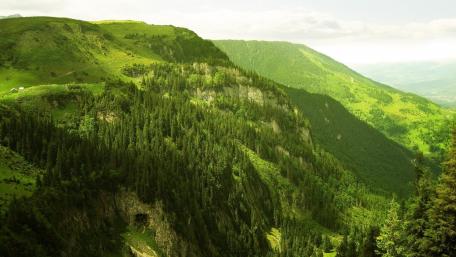 Lush Green Mountains Under a Clear Sky wallpaper