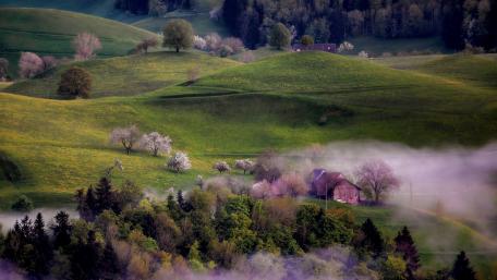 Serene Spring Morning in the Hills wallpaper