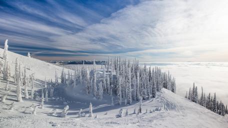 Winter Wonderland in Snowy Paradise wallpaper