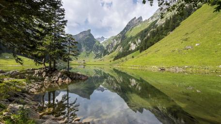 Seealpsee wallpaper