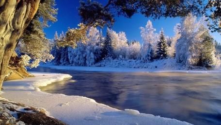 Serene Winter River Landscape Amidst Snowy Trees wallpaper
