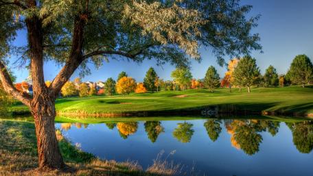 Serene Autumn Reflection in Nature wallpaper