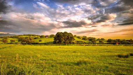 Serene Meadow at Dusk with Rolling Hills wallpaper