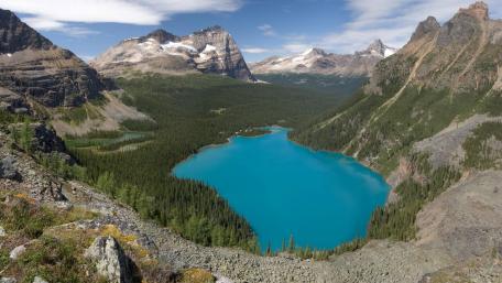Lake O'Hara wallpaper