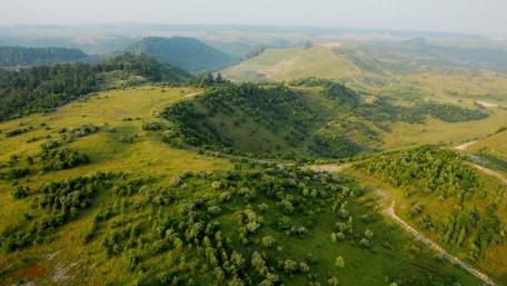 Lush Green Hills at Dawn wallpaper