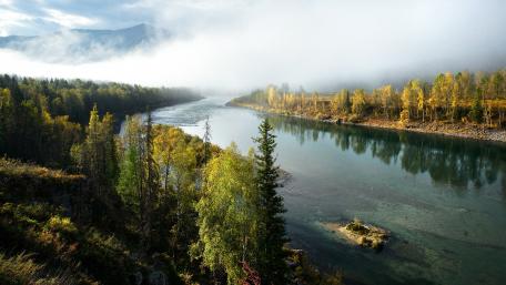 Misty River Serenity in Nature wallpaper
