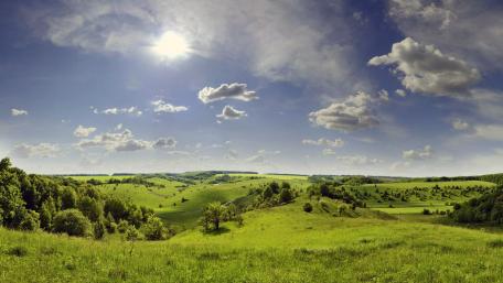 Vibrant Green Fields Under Sunshine in Russia wallpaper