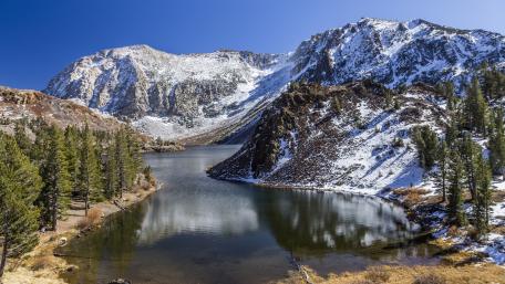 Ellery Lake wallpaper