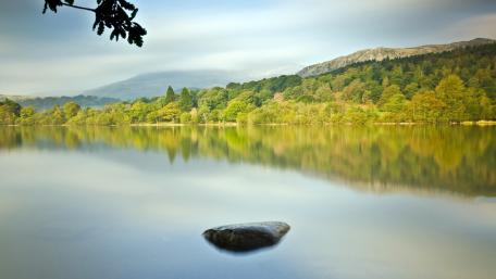 Serene Lake Reflection Amidst Nature's Beauty wallpaper