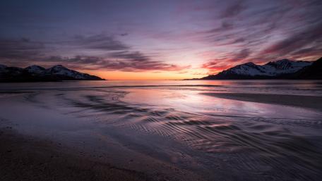 Serene Shoreline at Dusk wallpaper