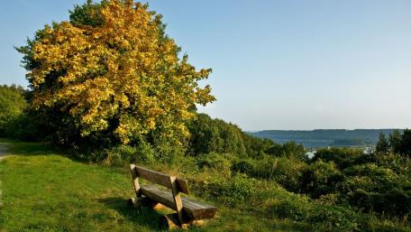 Early autumn wallpaper