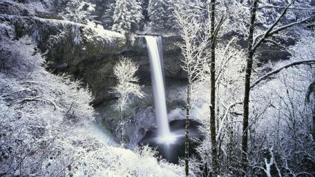 Silver Falls State Park wallpaper