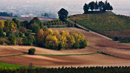 Autumn Serenity in Rolling Hills wallpaper