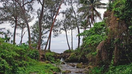 Efate, Vanuatu wallpaper