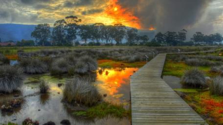 Serene Autumn Boardwalk Over a Tranquil Wetland Scene wallpaper