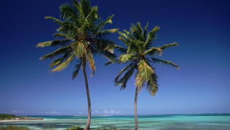 Tropical Paradise Under Clear Skies wallpaper