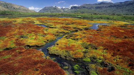 Cederberg, South Africa wallpaper