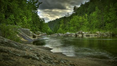 Tranquil Riverbank Serenity wallpaper