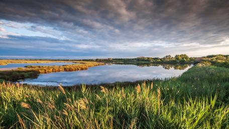 Serene Wetland Landscape Under Dramatic Skies wallpaper