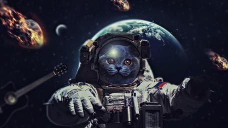 Aastronaut cat wallpaper