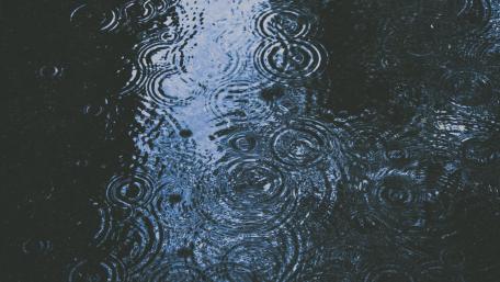 Calm Rainy Night Reflections wallpaper