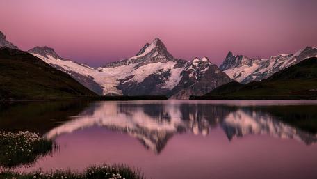 Bachalpsee in pink wallpaper