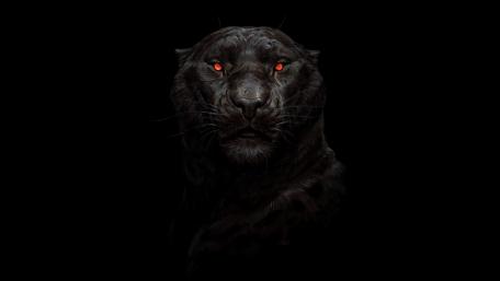 Mystical Panther with Piercing Red Eyes wallpaper