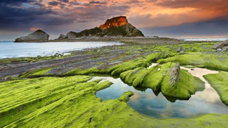 Serene Algae-covered Shoreline Amidst a Stunning Sunset wallpaper