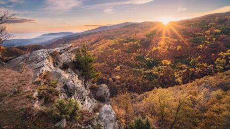 Breathtaking Autumn Sunrise Over Enchanted Forest wallpaper