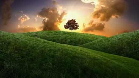 Majestic Solitude in a Dreamy Landscape wallpaper