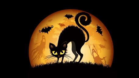 Black Cat Under Halloween Moonlight wallpaper