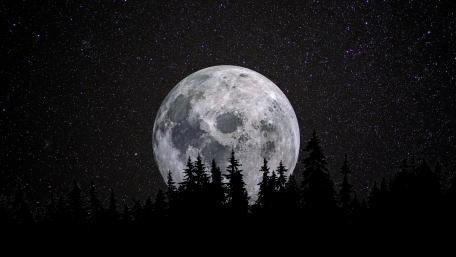 Moonlit Silhouette of Serenity wallpaper