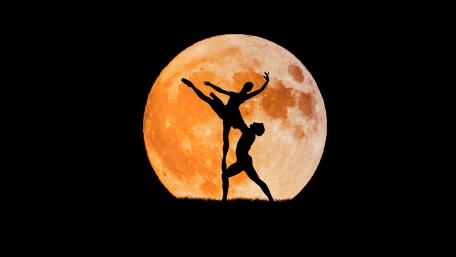 Moonlit Ballet Harmony wallpaper