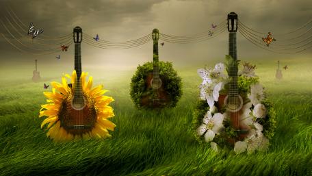 Musical Harmony in Nature wallpaper