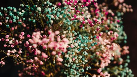 Dry flower bouquet wallpaper