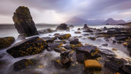 Majestic Coastal Serenity in Motion wallpaper